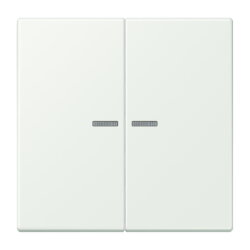 Jung HOME Taster 2fach, Serie LS, outremer gris BTLC17102210