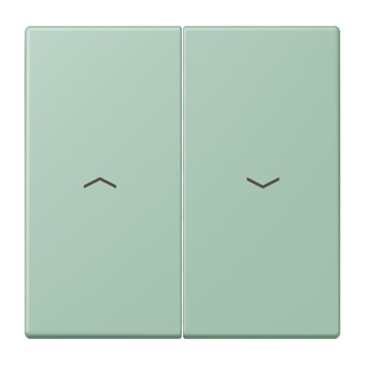 Jung Wippe 2fach, mit Pfeilsymbolen, Serie LS, vert anglais clair LC995P217