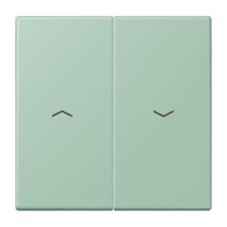 Jung Wippe 2fach, mit Pfeilsymbolen, Serie LS, vert...