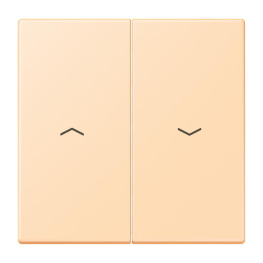 Jung Wippe 2fach, mit Pfeilsymbolen, Serie LS, ocre LC995P223