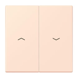 Jung Wippe 2fach, mit Pfeilsymbolen, Serie LS, orange...