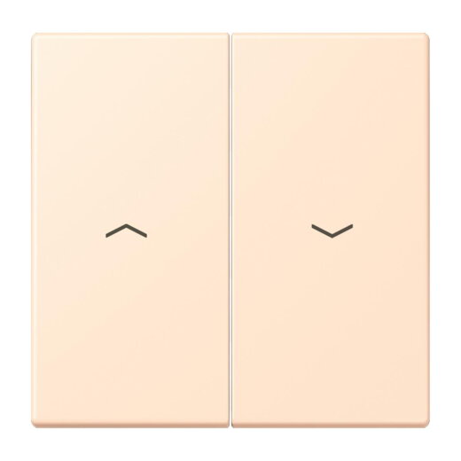 Jung Wippe 2fach, mit Pfeilsymbolen, Serie LS, terre sienne pâle LC995P238