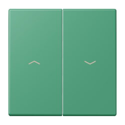 Jung Wippe 2fach, mit Pfeilsymbolen, Serie LS, vert 59...