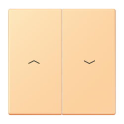 Jung Wippe 2fach, mit Pfeilsymbolen, Serie LS, terre...