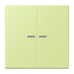 Jung HOME Taster 2fach, Serie LS, vert jaune clair...