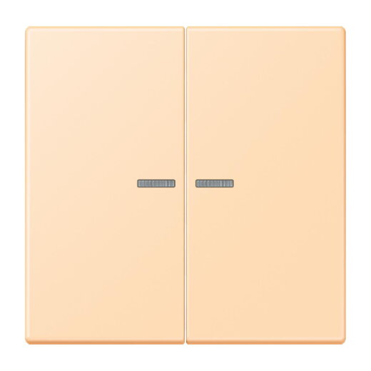 Jung HOME Taster 2fach, Serie LS, ocre BTLC17102223