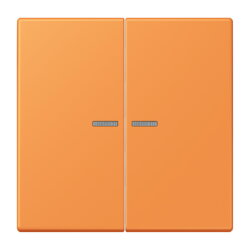 Jung HOME Taster 2fach, Serie LS, orange clair BTLC17102225