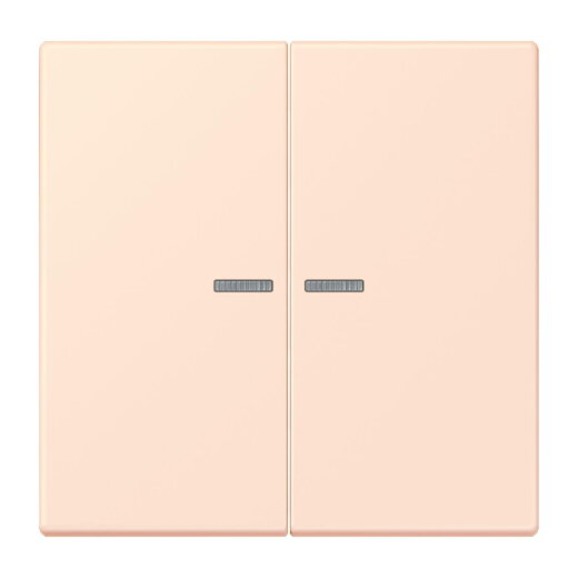 Jung HOME Taster 2fach, Serie LS, orange pâle BTLC17102226