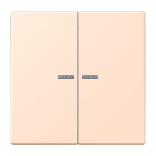 Jung HOME Taster 2fach, Serie LS, rose pâle BTLC17102228