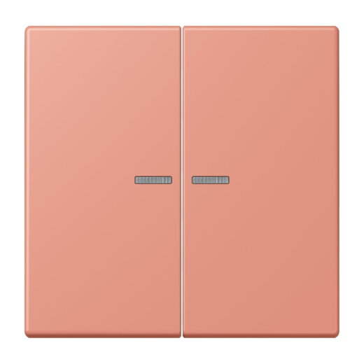 Jung HOME Taster 2fach, Serie LS, locre rouge moyen BTLC17102233