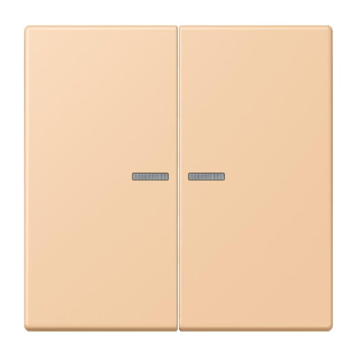 Jung HOME Taster 2fach, Serie LS, terre sienne claire 31 BTLC17102237