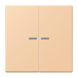 Jung HOME Taster 2fach, Serie LS, terre sienne claire 31...