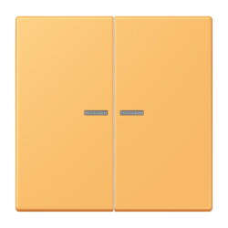 Jung HOME Taster 2fach, Serie LS, ocre jaune clair...