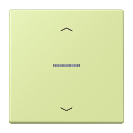 Jung HOME Taster 1fach, mit Pfeilsymbolen, Serie LS, vert jaune clair BTLC17101P222