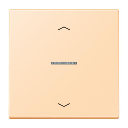 Jung HOME Taster 1fach, mit Pfeilsymbolen, Serie LS, ocre BTLC17101P223