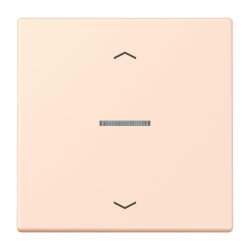 Jung HOME Taster 1fach, mit Pfeilsymbolen, Serie LS,...