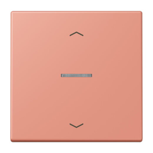 Jung HOME Taster 1fach, mit Pfeilsymbolen, Serie LS, locre rouge moyen BTLC17101P233