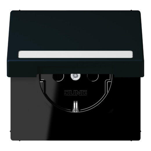 Jung SCHUKO Steckdose, 16 A 250 V ~, mit Schriftfeld, Serie LS, noir d LC1520BFNAKL248