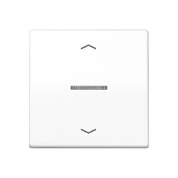 Jung HOME Taster 1fach, mit Pfeilsymbolen, Thermoplast,...