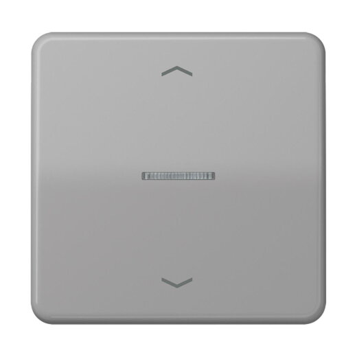 Jung HOME Taster 1fach, mit Pfeilsymbolen, Duroplast, Serie CD, grau BTCD17101PGR
