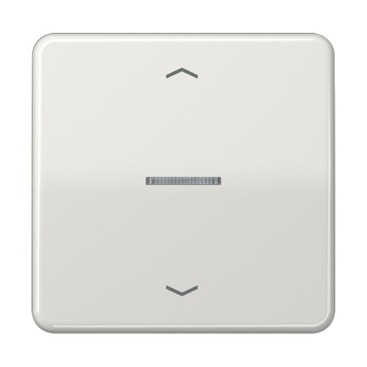 Jung HOME Taster 1fach, mit Pfeilsymbolen, Duroplast, Serie CD, lichtgrau BTCD17101PLG