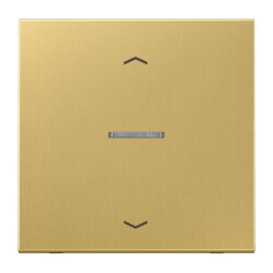 Jung HOME Taster 1fach, mit Pfeilsymbolen, Messing, Serie...