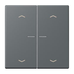 Jung HOME Taster 2fach, mit Pfeilsymbolen, Serie LS, gris...