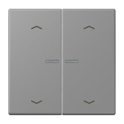 Jung HOME Taster 2fach, mit Pfeilsymbolen, Serie LS, gris...