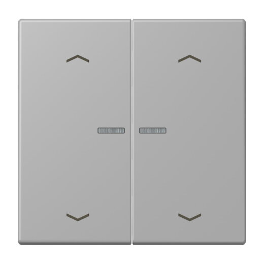 Jung HOME Taster 2fach, mit Pfeilsymbolen, Serie LS, gris moyen BTLC17102P204