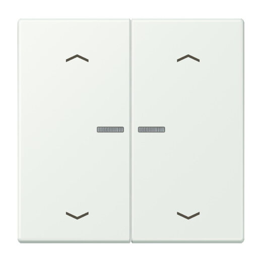 Jung HOME Taster 2fach, mit Pfeilsymbolen, Serie LS, outremer gris BTLC17102P210