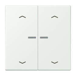 Jung HOME Taster 2fach, mit Pfeilsymbolen, Serie LS,...