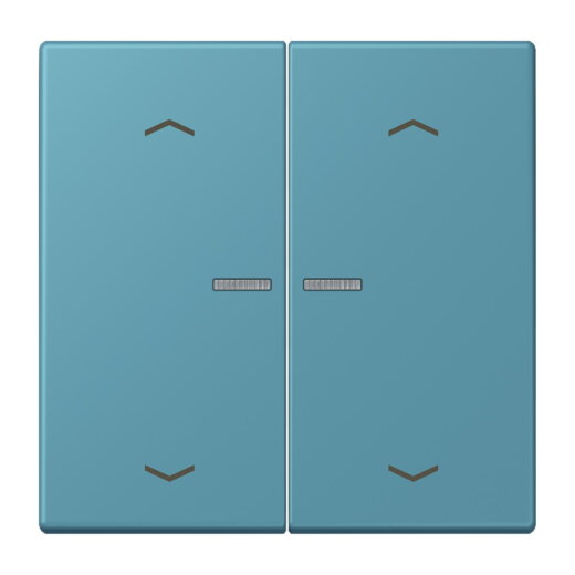 Jung HOME Taster 2fach, mit Pfeilsymbolen, Serie LS, céruléen vif BTLC17102P212