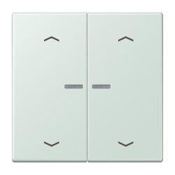 Jung HOME Taster 2fach, mit Pfeilsymbolen, Serie LS,...