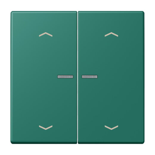 Jung HOME Taster 2fach, mit Pfeilsymbolen, Serie LS, vert anglais BTLC17102P216