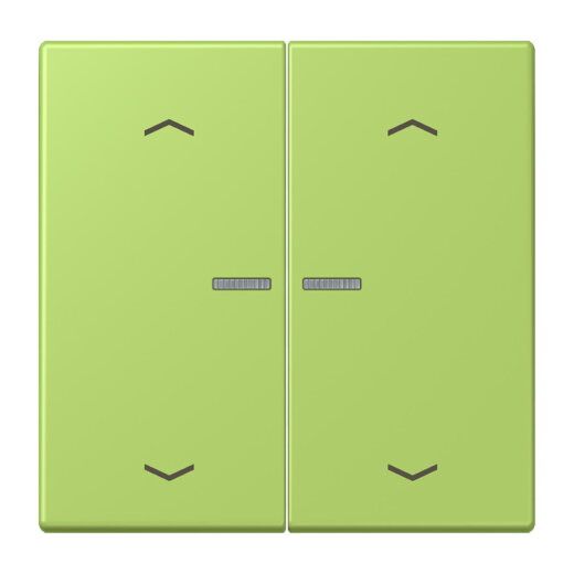 Jung HOME Taster 2fach, mit Pfeilsymbolen, Serie LS, vert clair BTLC17102P221