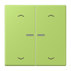 Jung HOME Taster 2fach, mit Pfeilsymbolen, Serie LS, vert...