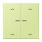 Jung HOME Taster 2fach, mit Pfeilsymbolen, Serie LS, vert jaune clair BTLC17102P222