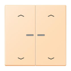 Jung HOME Taster 2fach, mit Pfeilsymbolen, Serie LS, ocre...