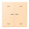 Jung HOME Taster 2fach, mit Pfeilsymbolen, Serie LS, ocre BTLC17102P223