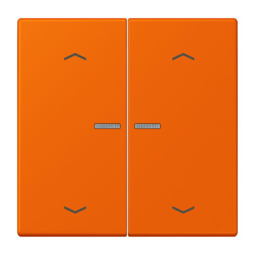 Jung HOME Taster 2fach, mit Pfeilsymbolen, Serie LS, orange BTLC17102P224