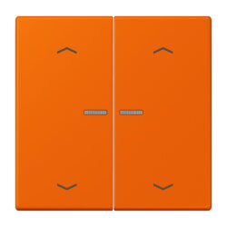 Jung HOME Taster 2fach, mit Pfeilsymbolen, Serie LS,...