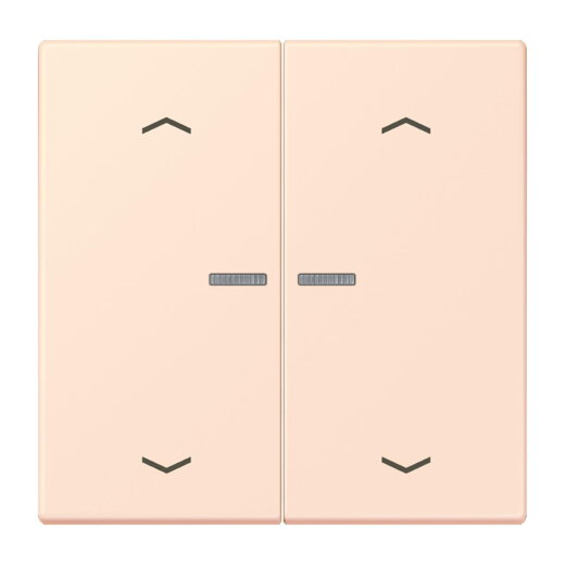 Jung HOME Taster 2fach, mit Pfeilsymbolen, Serie LS, orange pâle BTLC17102P226