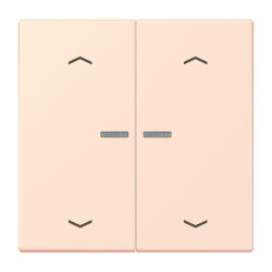 Jung HOME Taster 2fach, mit Pfeilsymbolen, Serie LS,...