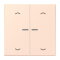 Jung HOME Taster 2fach, mit Pfeilsymbolen, Serie LS, orange pâle BTLC17102P226