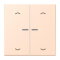 Jung HOME Taster 2fach, mit Pfeilsymbolen, Serie LS, rose pâle BTLC17102P228
