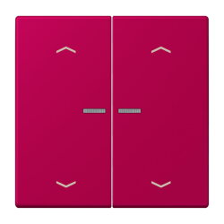 Jung HOME Taster 2fach, mit Pfeilsymbolen, Serie LS,...