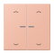 Jung HOME Taster 2fach, mit Pfeilsymbolen, Serie LS, rose clair BTLC17102P231