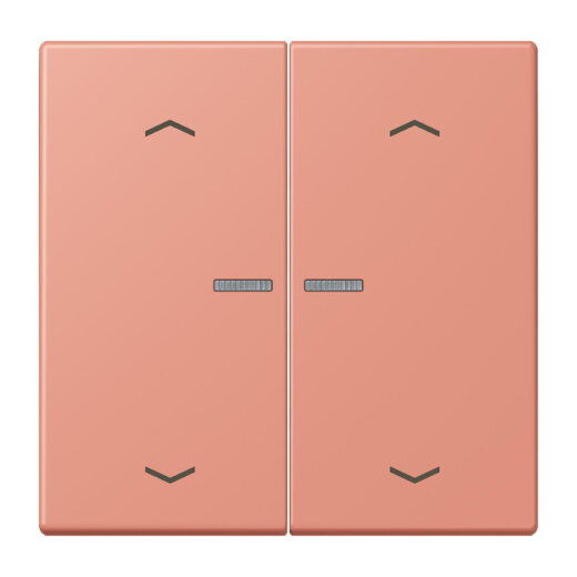 Jung HOME Taster 2fach, mit Pfeilsymbolen, Serie LS, locre rouge moyen BTLC17102P233