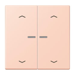 Jung HOME Taster 2fach, mit Pfeilsymbolen, Serie LS,...