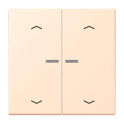 Jung HOME Taster 2fach, mit Pfeilsymbolen, Serie LS,...